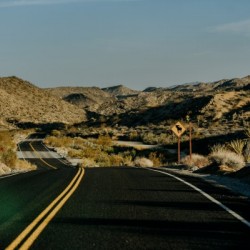 Joshua Tree Road